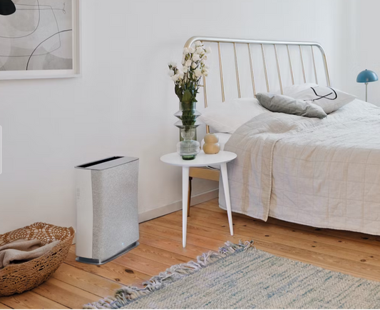 Stadler Form Air Purifier Roger Little for bedroom